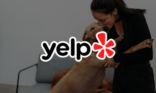 Yelp